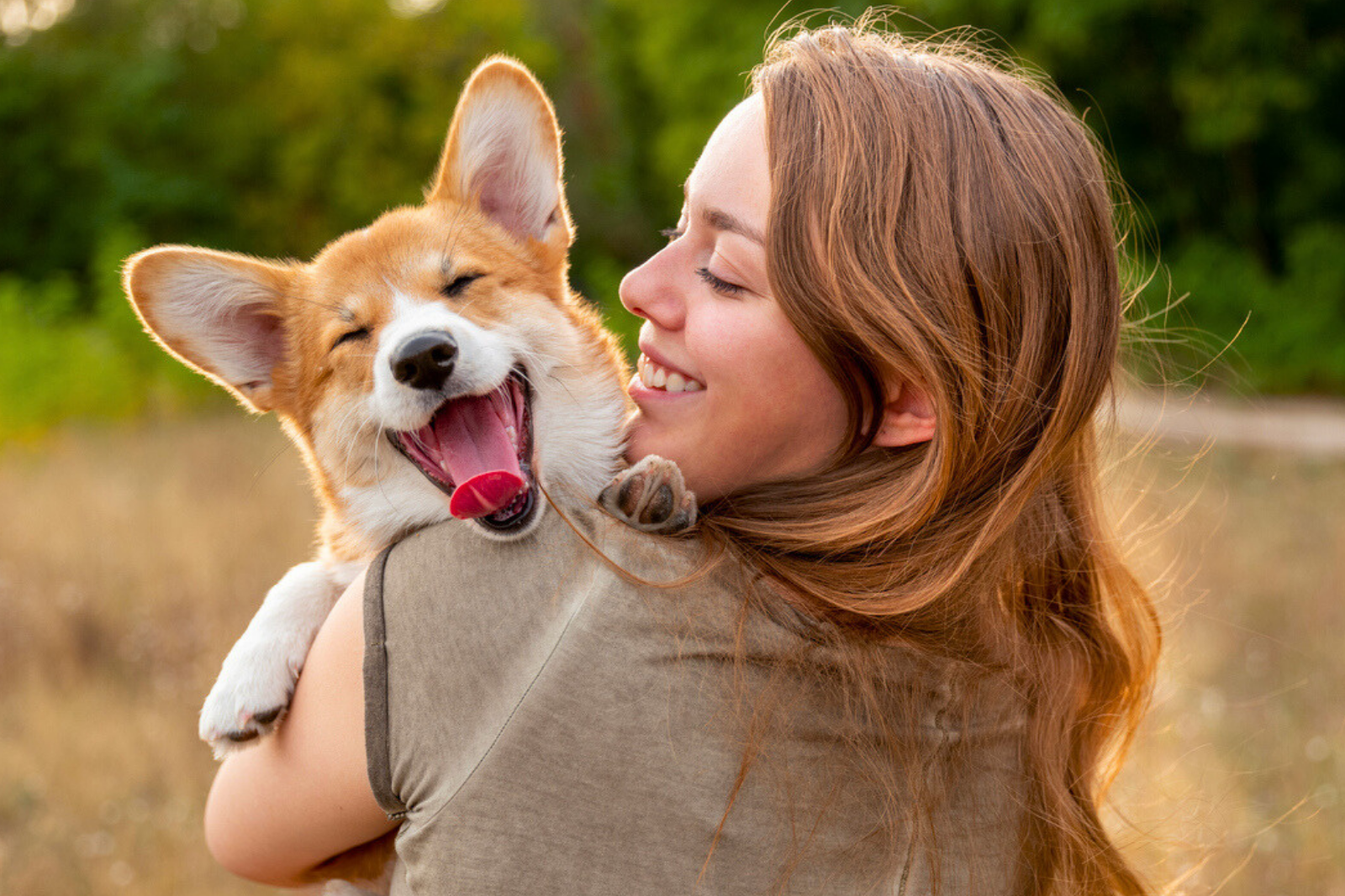 Comment créer un lien encore plus fort avec votre chien ? © Fotographixx, iStock