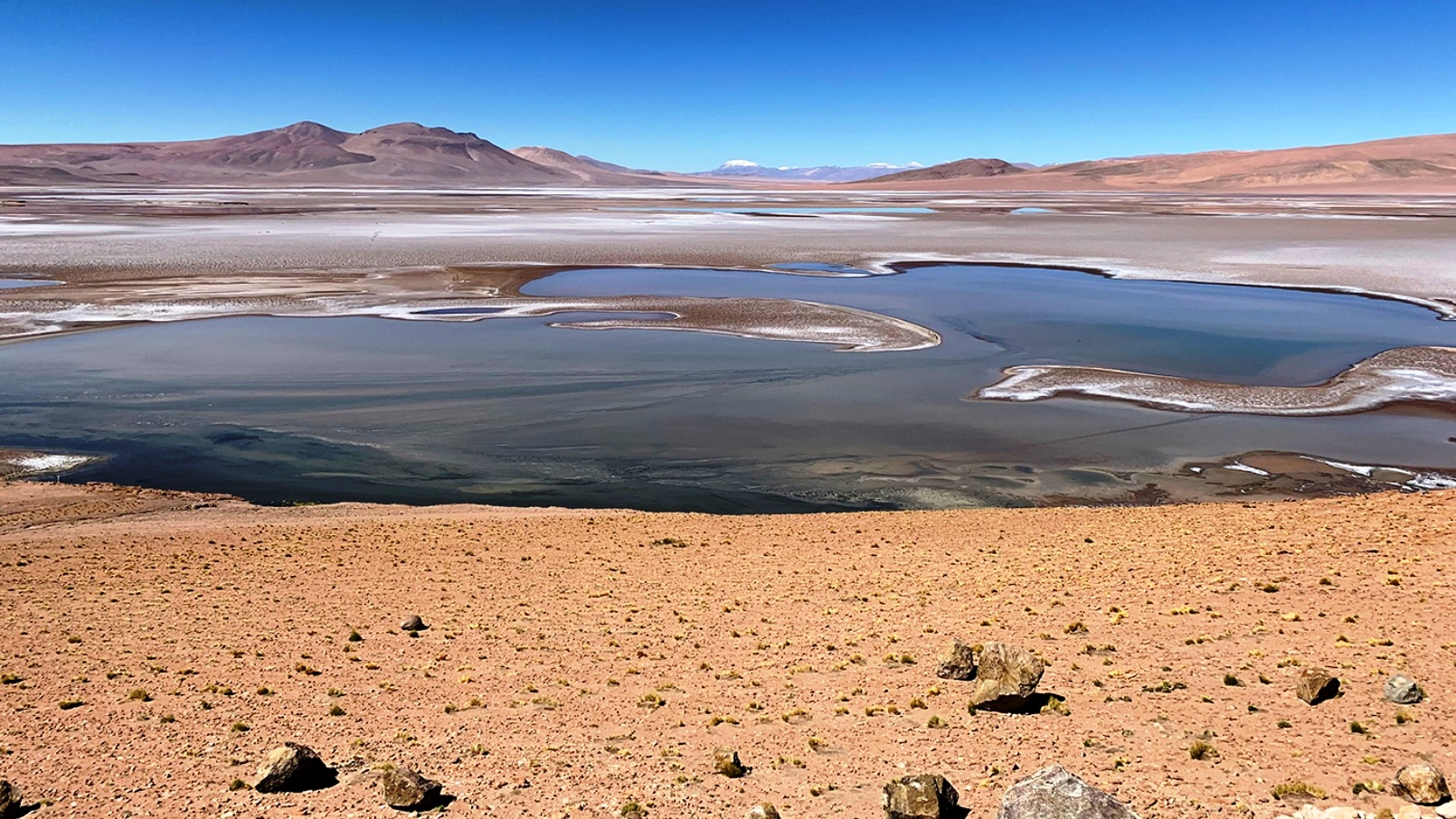 Rempli de lacs saumâtres, le plateau de Quisquiro dans l'Altiplano d'Amérique du Sud, au Chili,&nbsp;représente le type de paysage que les scientifiques pensent avoir existé il y a des milliards d'années sur Mars, dans le cratère Gale, que le rover Curiosity de la Nasa explore. © Maksym Bocharov
