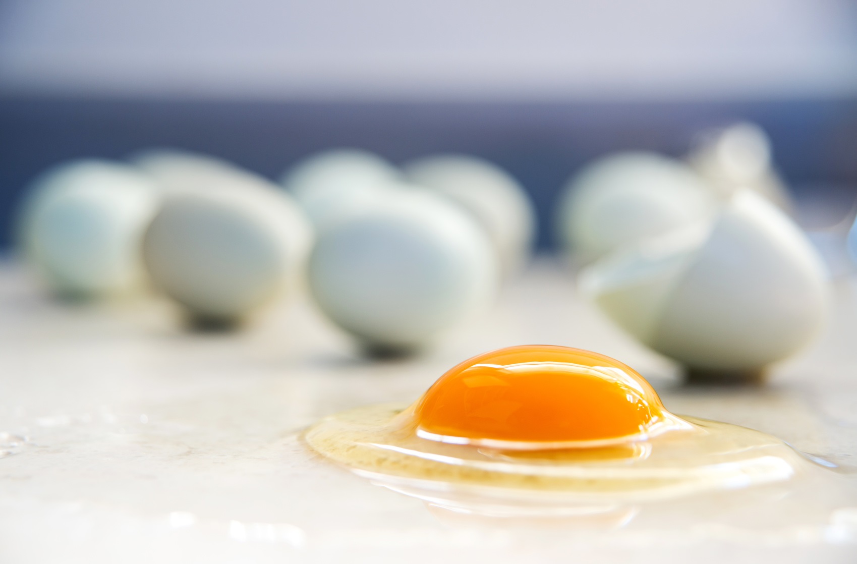 Le jaune d’œuf est un aliment particulièrement riche en choline. © Anna Hoychuk, Fotolia