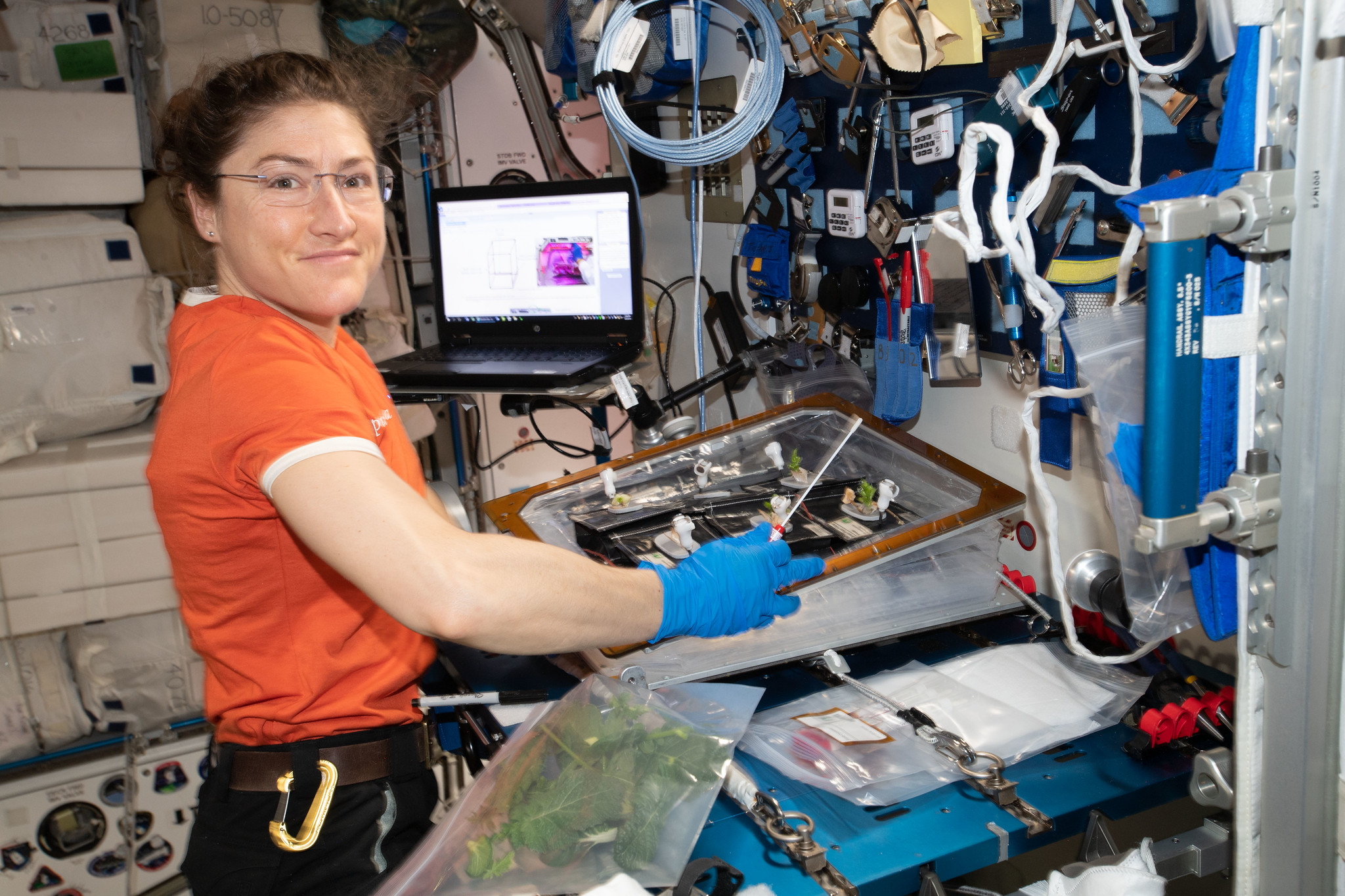 L'astronaute américaine Christina Koch a rejoint l'ISS le 14 mars 2019 pour une mission qui vient d'être prolongée à février 2020, soit environ onze mois. © Nasa