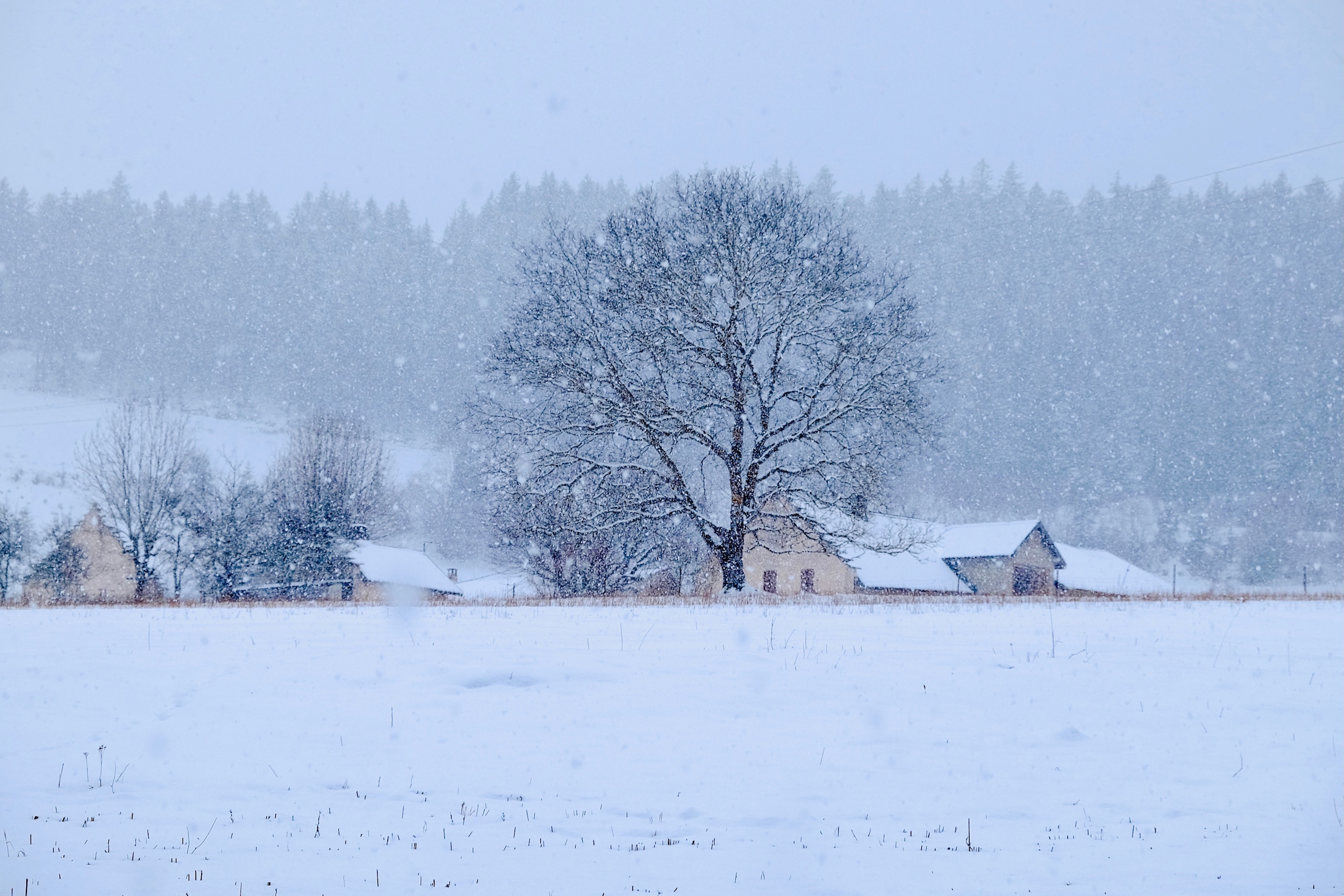 Température et humidité de l'air sont deux conditions pour que tombe la neige. © MurielleB, Adobe Stock