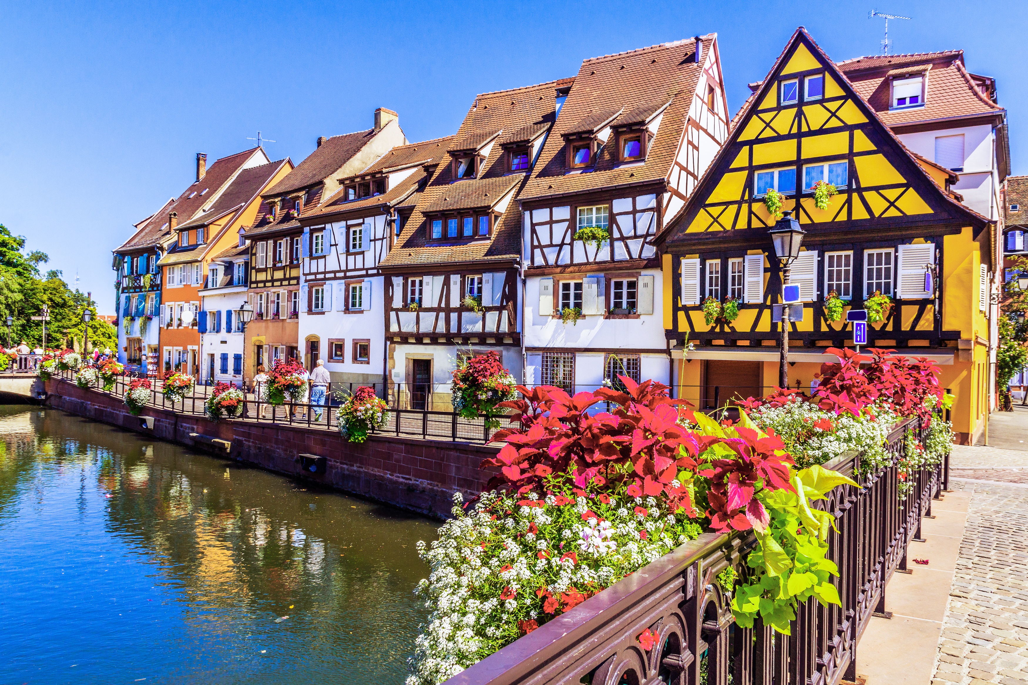 L'Alsace fait partie des zones qui se réchauffent le plus vite en France. © Carmen, Adobe Stock