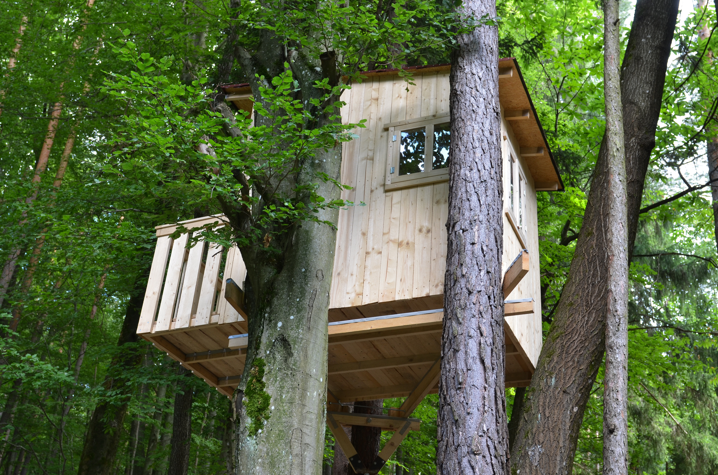 La cabane en bois est un rêve que petits et grands partagent. © photo 5000, Adobe Stock