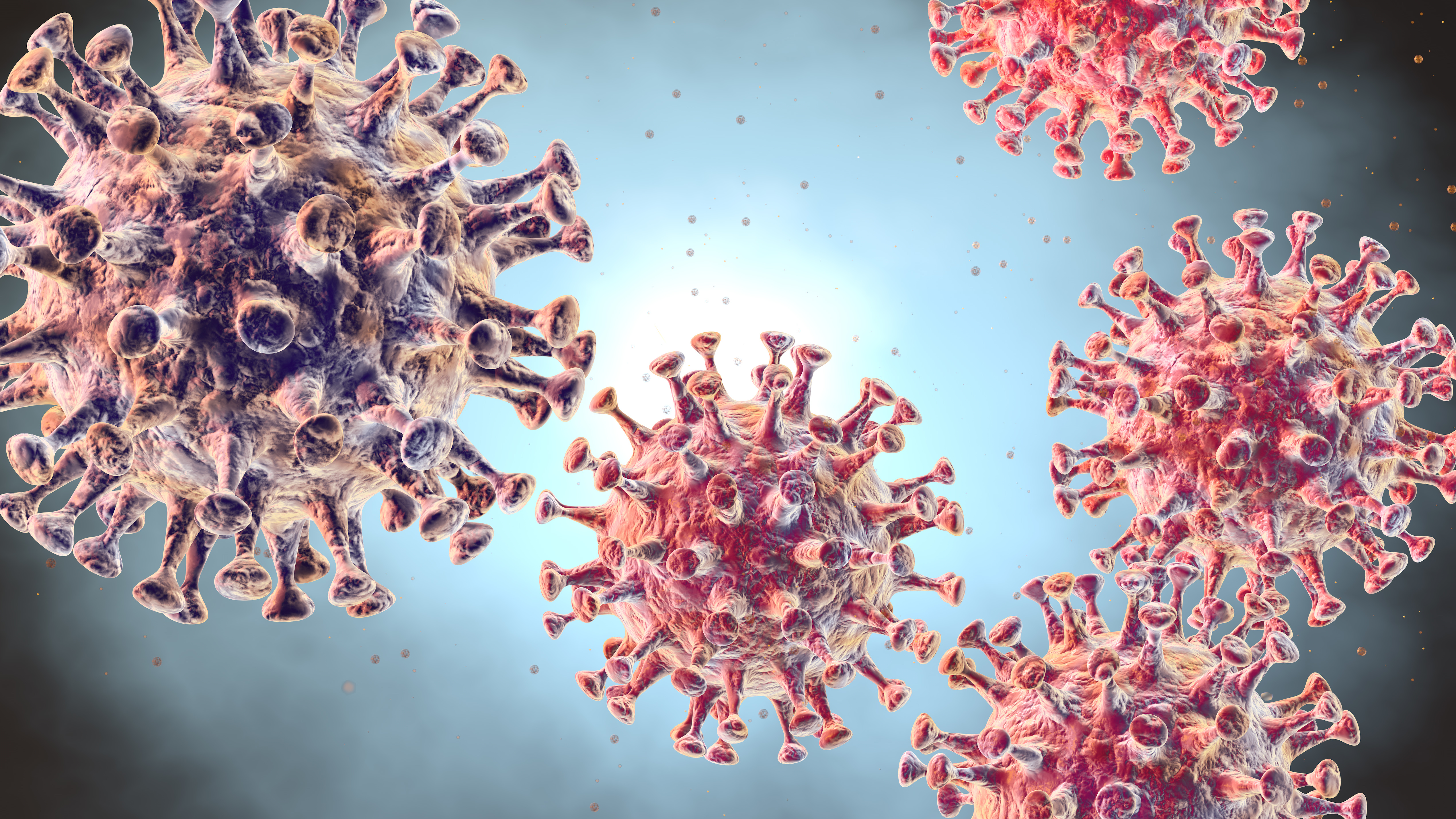 Quelles sont les différences entre l'épidémie actuelle de coronavirus et celle provoquée par le Sras ? © Axel Kock, Adobe Stock