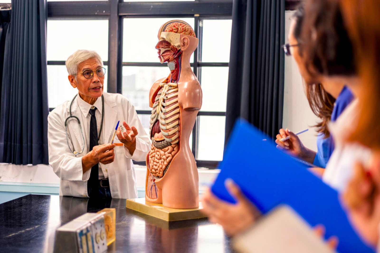 Des parties de votre corps en sursis : l’évolution à l’œuvre. © CHIH CHIEH HSIAO, iStock