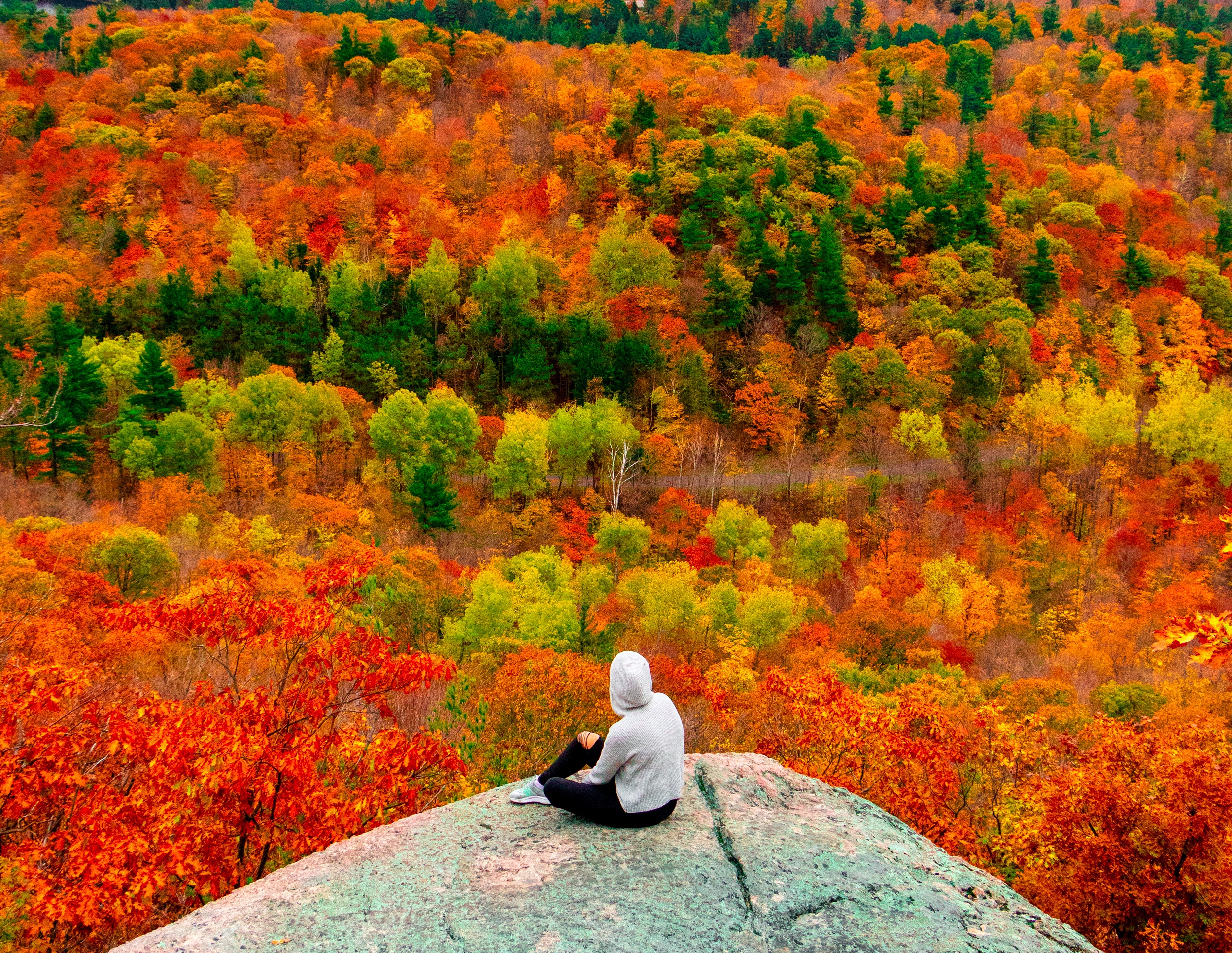 Les couleurs d'automne sont impressionnantes dans la forêt du parc de la Gatineau au Québec. © Salman, Adobe Stock