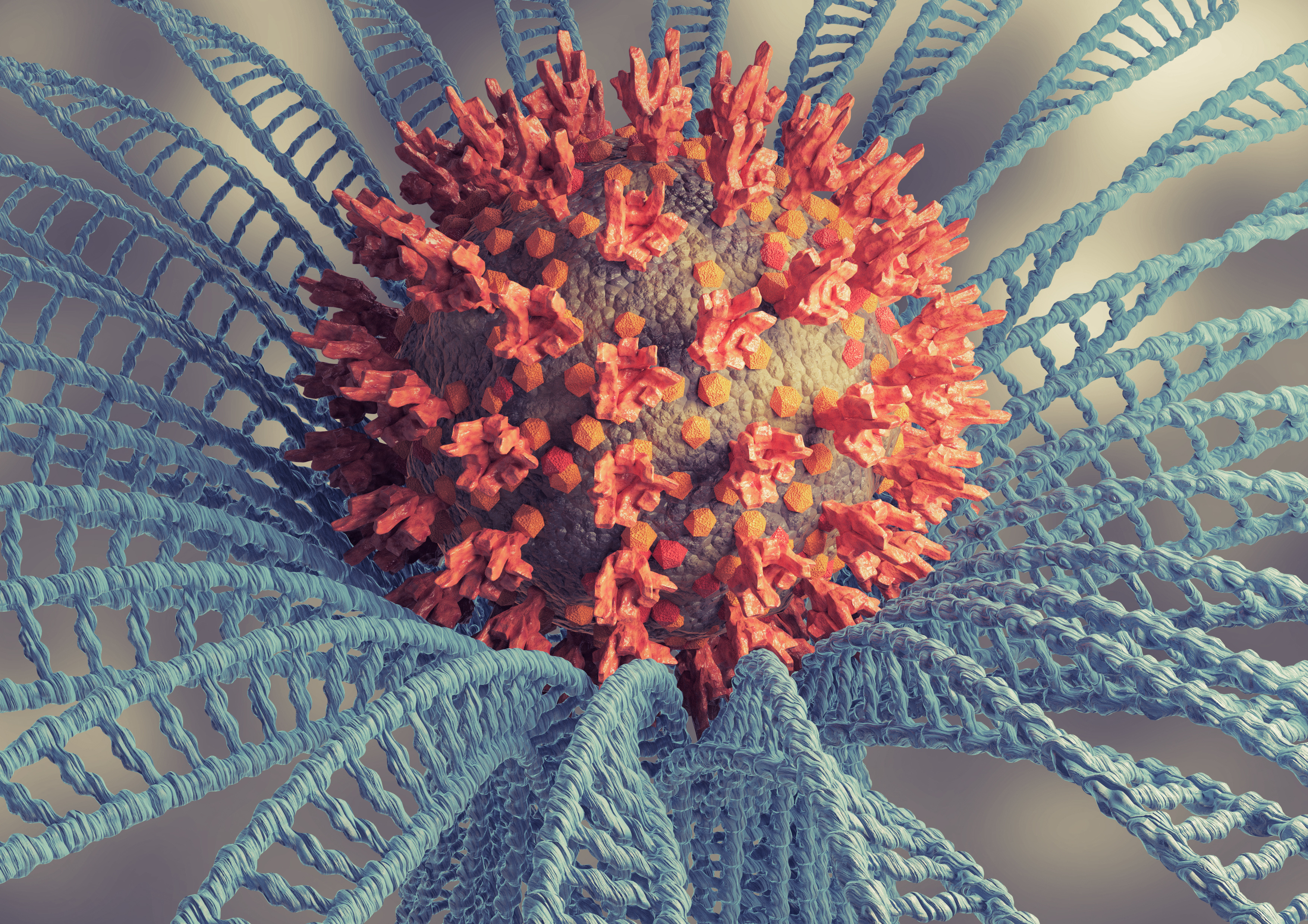 Le SARS-CoV-2 est un virus encore plein de mystère. © AGPhotography, Adobe Stock
