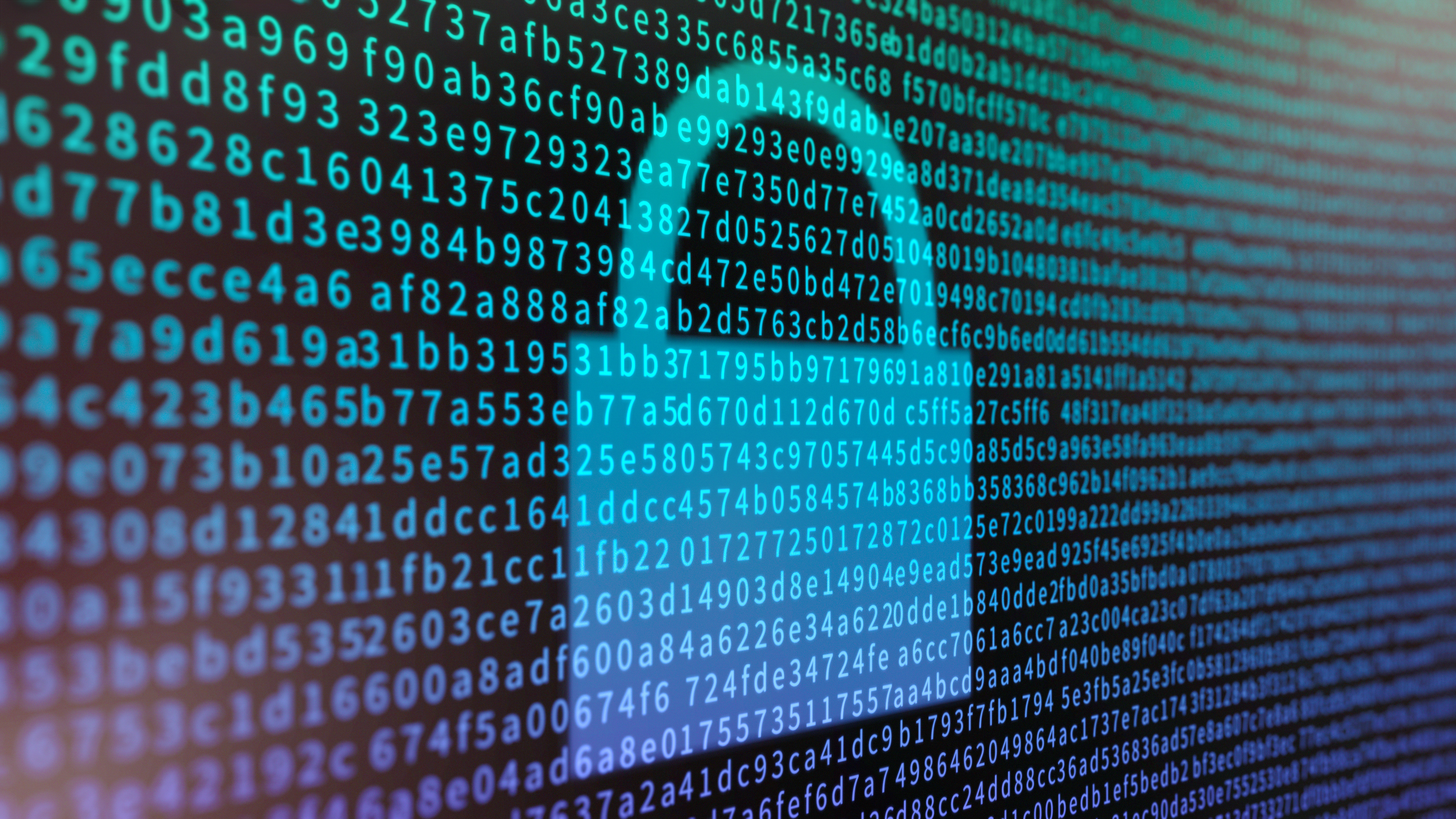 Le cryptologue doit protéger les données sensibles en les chiffrant via des codes complexes. © Anthony Brown, Adobe Stock.