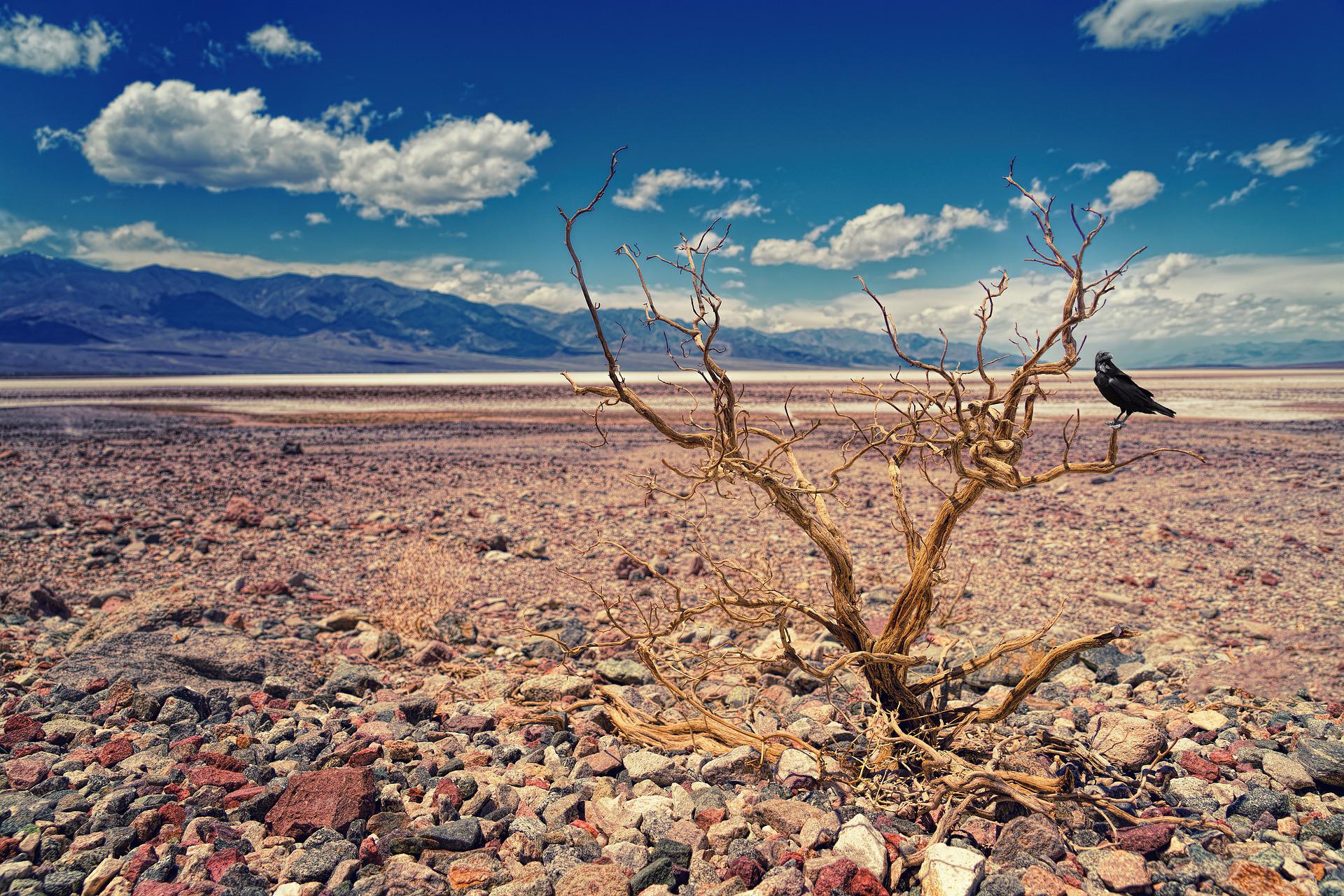 La vallée de la Mort, en Californie,&nbsp;a été le théâtre d'un étonnant effet du séisme mexicain. © jplenio, Pixabay