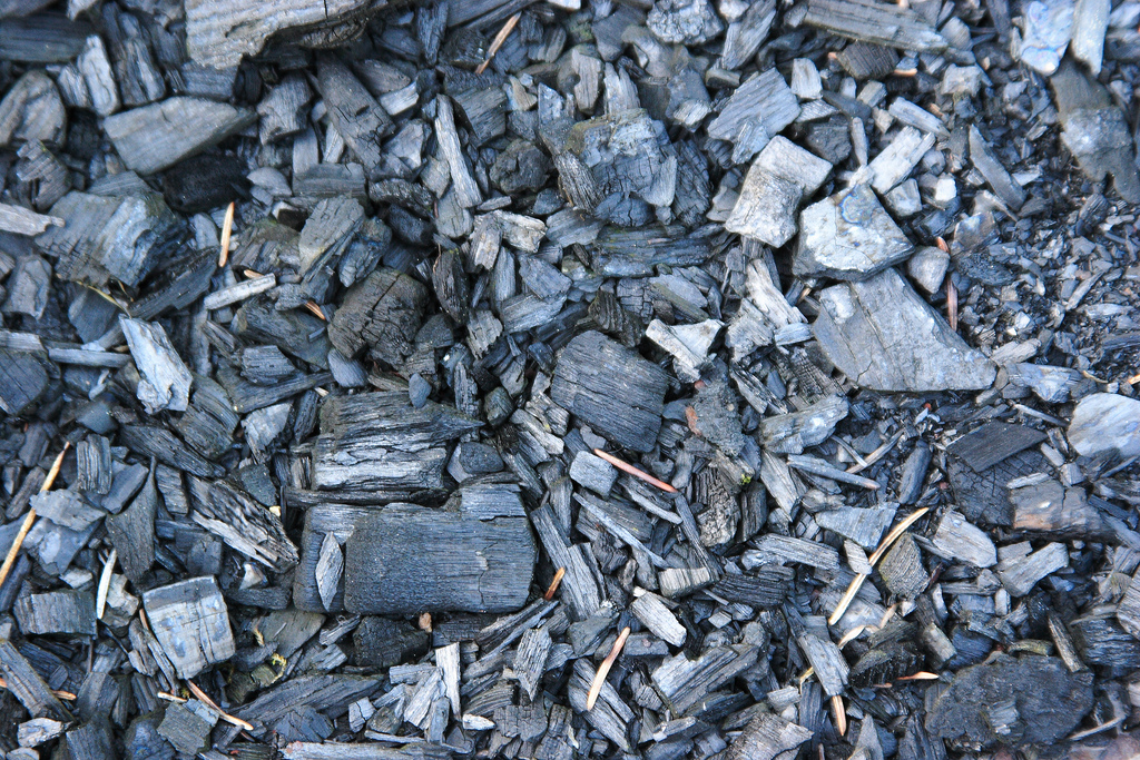 La plupart des gisements de charbon exploités par l'Homme se sont formés à la suite de la carbonisation d'importantes quantités de débris végétaux qui ont été enfouis dans des bassins côtiers ou lacustres du Carbonifère, voici 299 à 359 millions d'années. © www.MathildaLefort.fr, Flickr, cc by 2.0