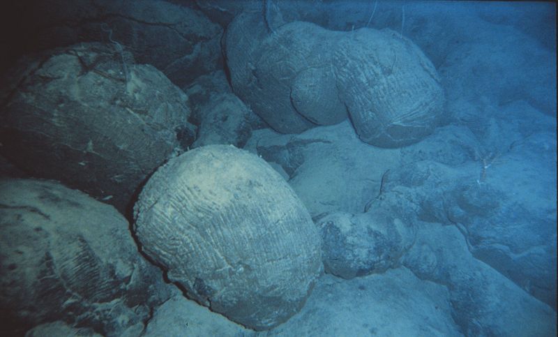 Des laves en coussins sont ici visibles au fond d'un océan. Toutefois, on peut aussi en observer sur la terre ferme, par exemple dans le massif alpin du Chenaillet (France). © NOAA, Wikimedia Commons, DP