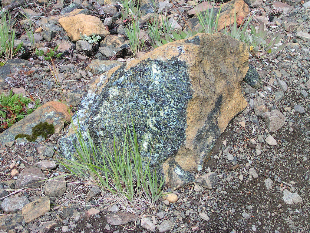 La péridotite peut se transformer en serpentinite lorsqu'elle est hydratée et soumise à une forte température. Il s'agit d'un cas de métamorphisme hydrothermal. © brewbooks, Flickr, cc by sa 2.0