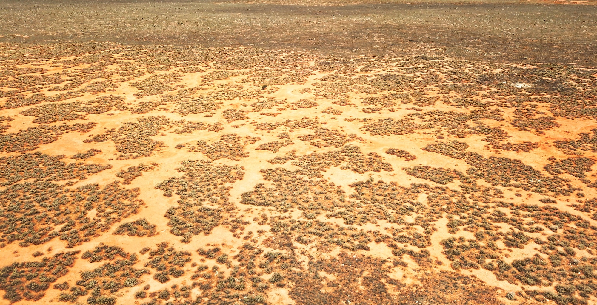 Une étrange cicatrice a été identifiée grâce à Google Earth dans la plaine désertique de Nullarbor, en Australie. © totajla, Adobe Stock