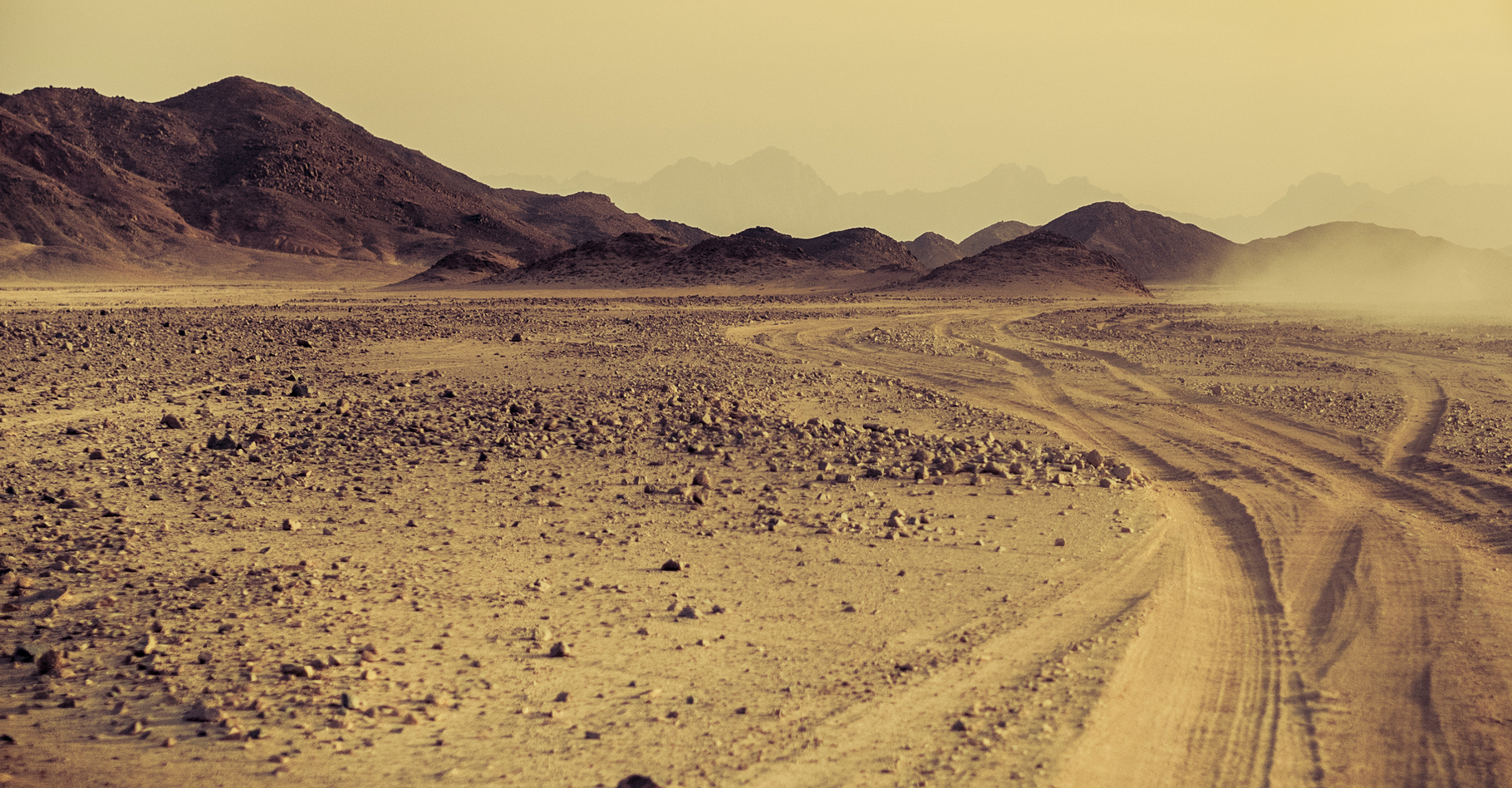 Qu’est-ce qu’un désert ? © Repina Valeriya, Shutterstock