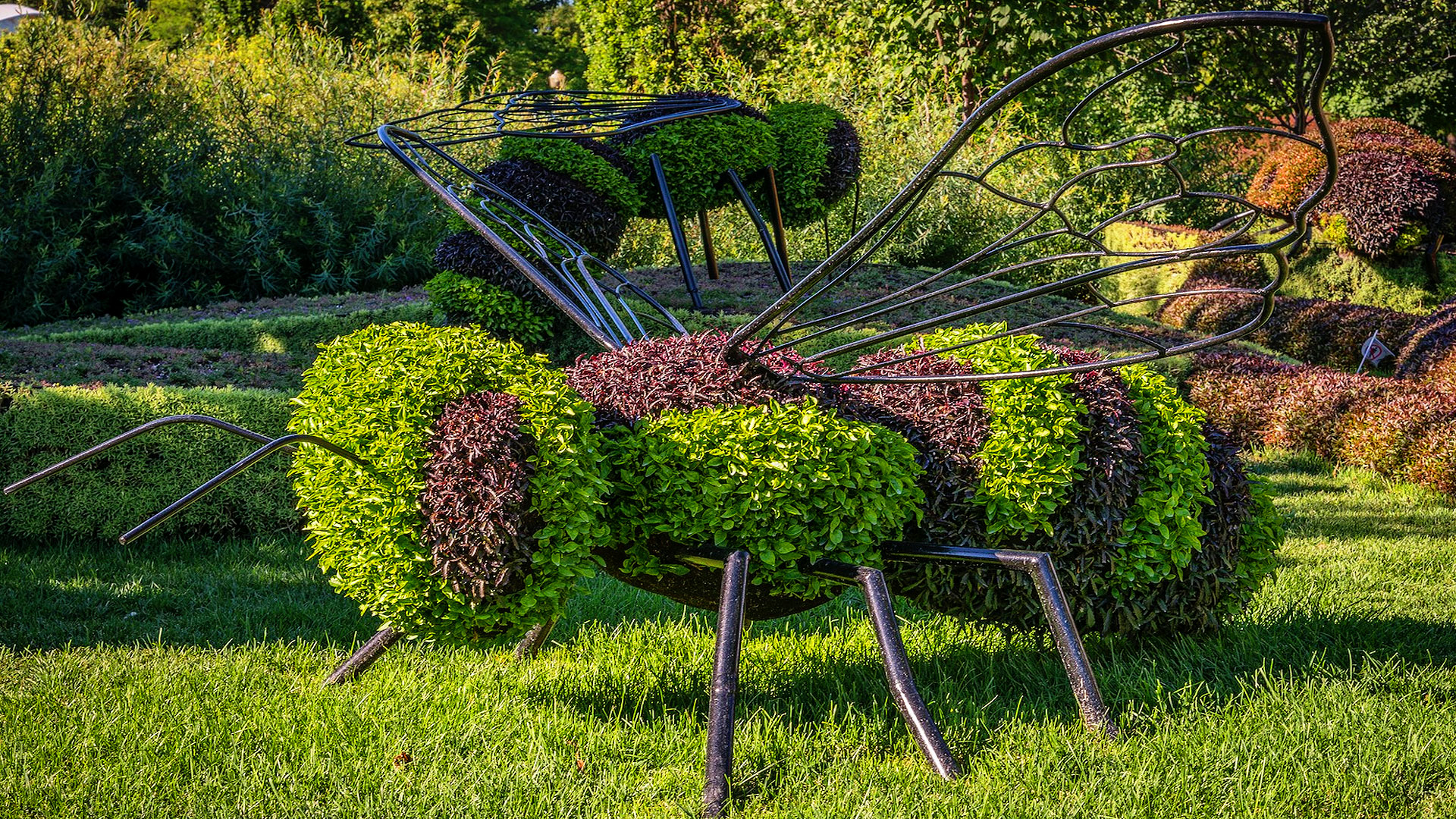 Sculpture végétale d'insectes en hommage au plan Maya