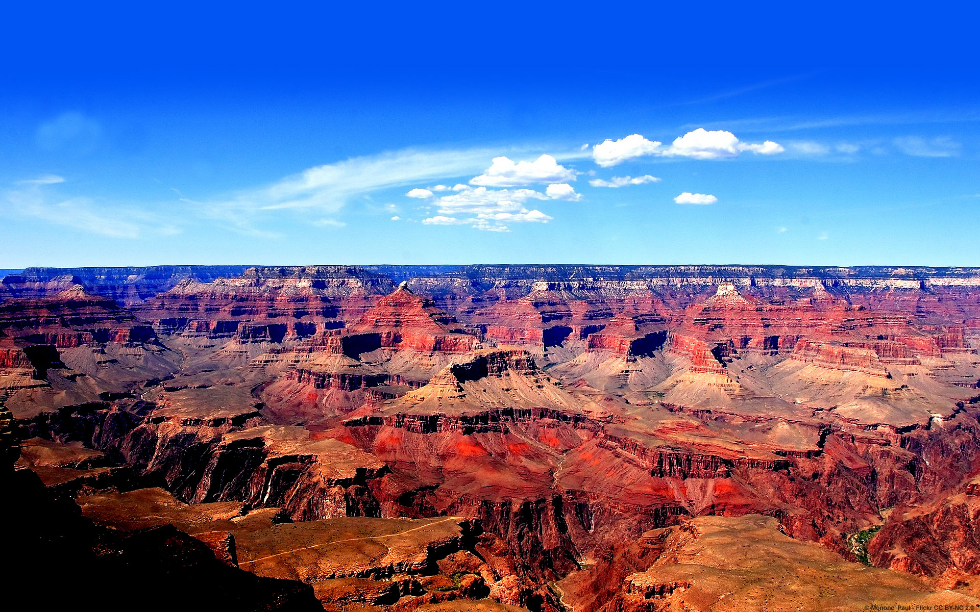 Le Grand Canyon, paysage emblématique de l'Arizona
