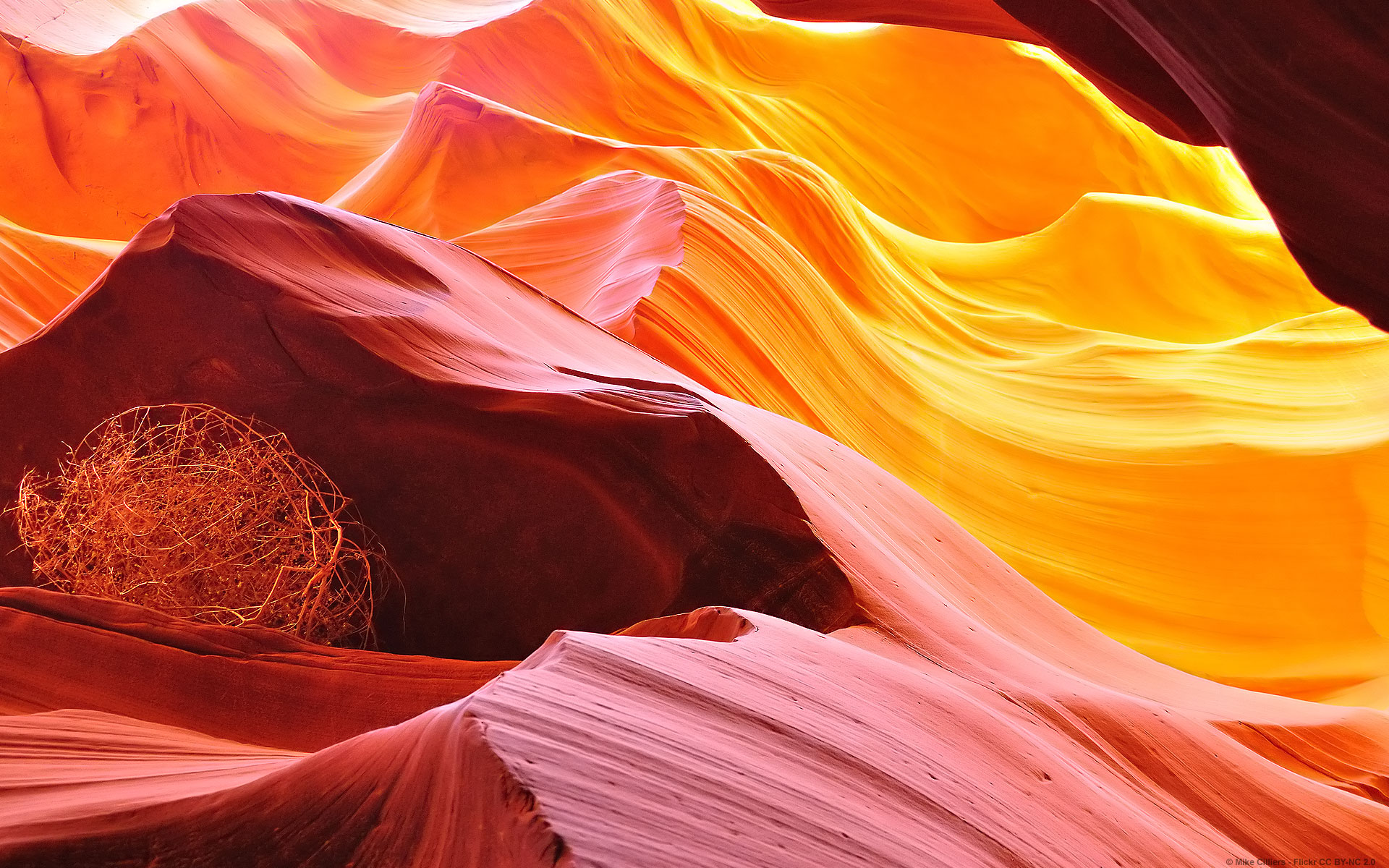 Le canyon de l’Antilope et ses couleurs étincelantes