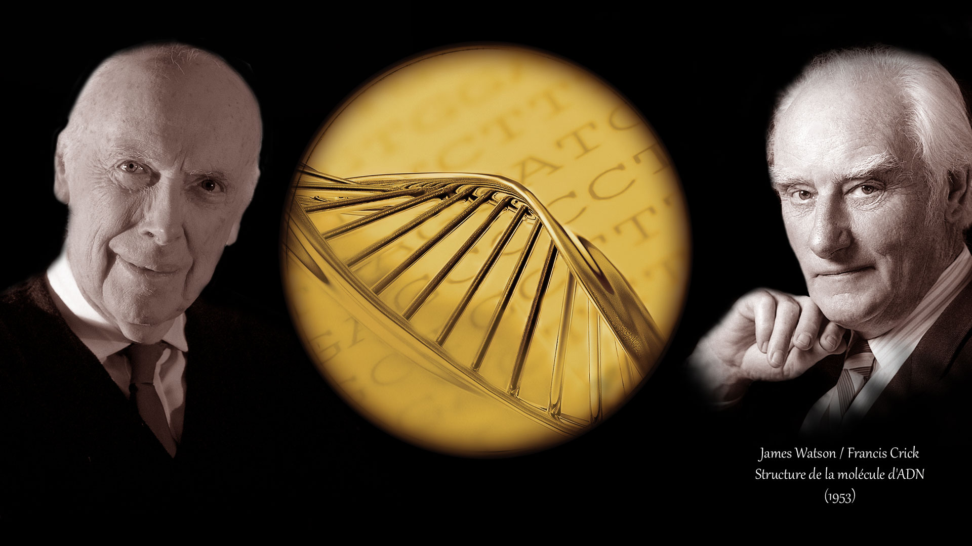 James Watson et Francis Crick, à l’origine de la structure de l'ADN