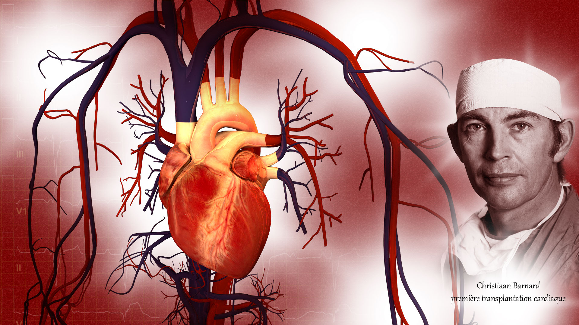 Christiaan Barnard, premier chirurgien à greffer un cœur