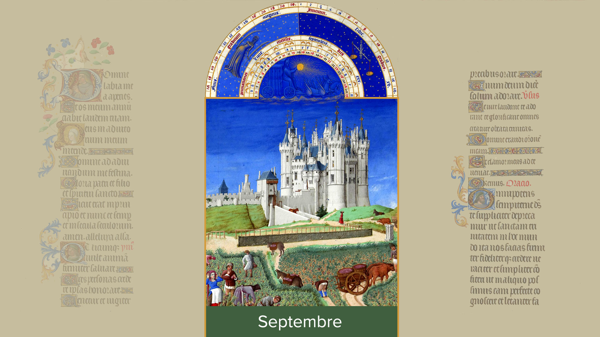 Septembre : vendanges au château de Saumur