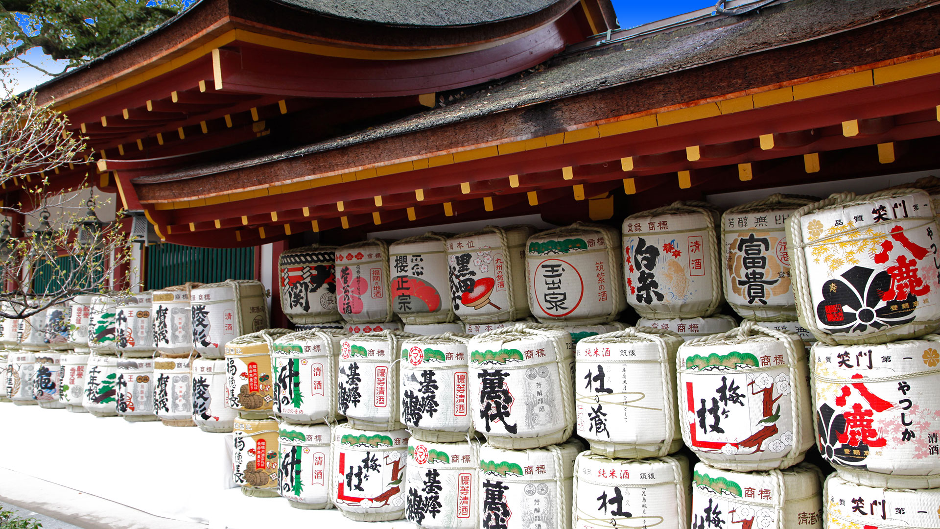 Des bidons de saké au temple de Dazaifu