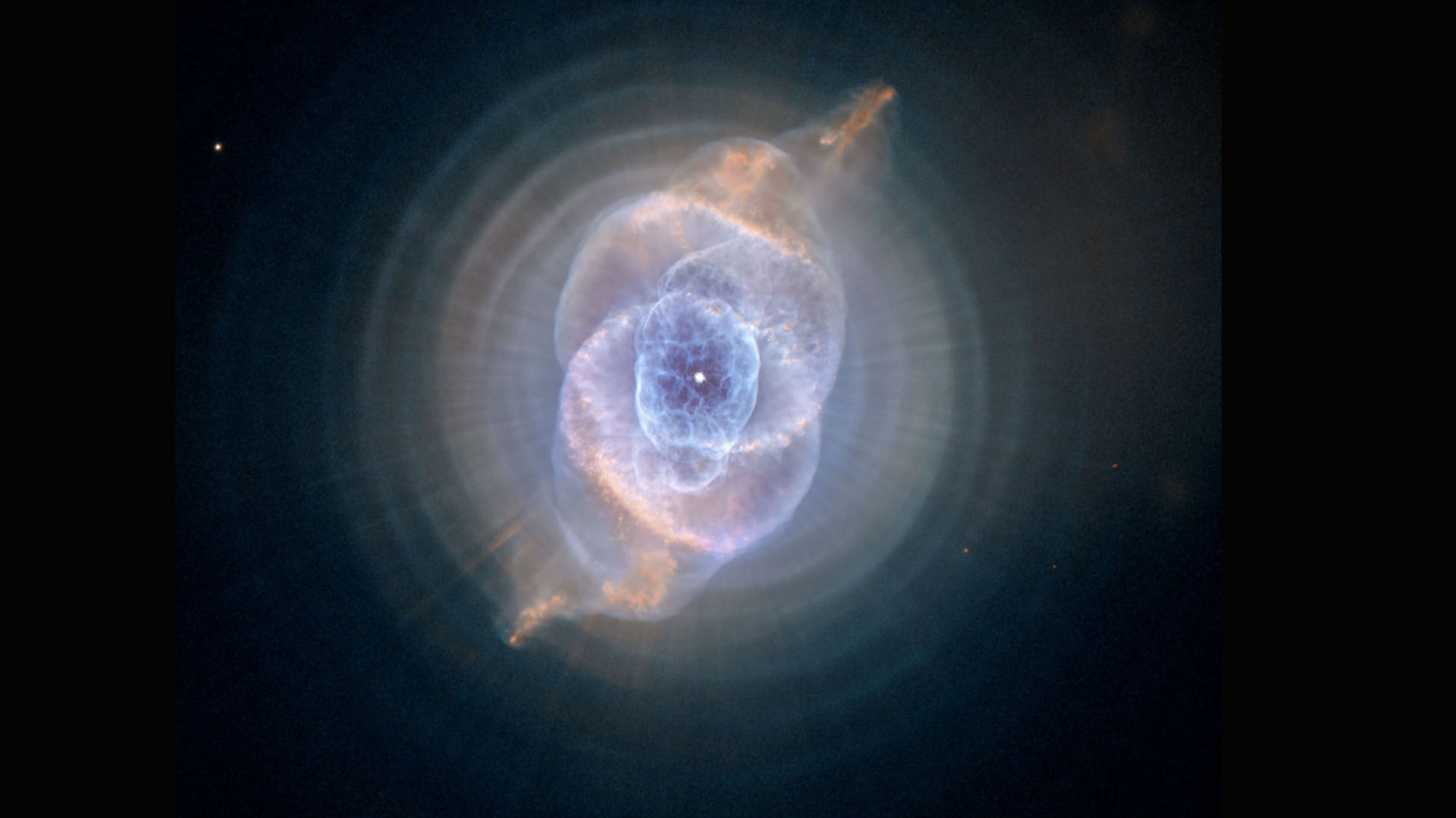 Hubble dans les yeux d'un chat