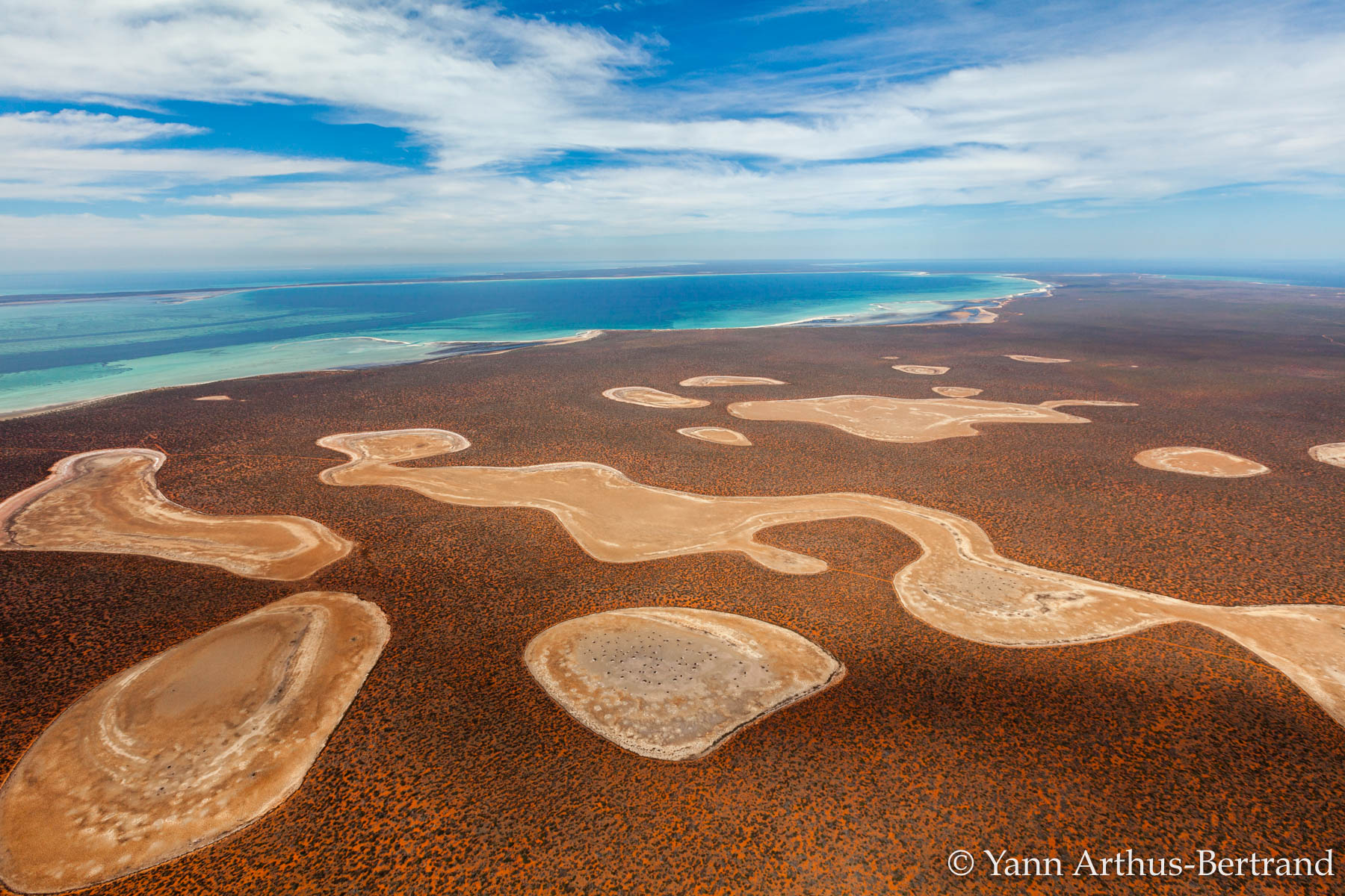 La péninsule de Péron est une maigre bande de terre située dans la baie Shark, à l'ouest de l'Australie. Elle est parsemée de petits lacs salins appelés « birridas » qui s'évaporent à l'arrivée des beaux jours. Sur cette vue aérienne, on peut voir les creux laissés par la disparition de l'eau.© Yann Arthus-Bertrand, tous droits réservés