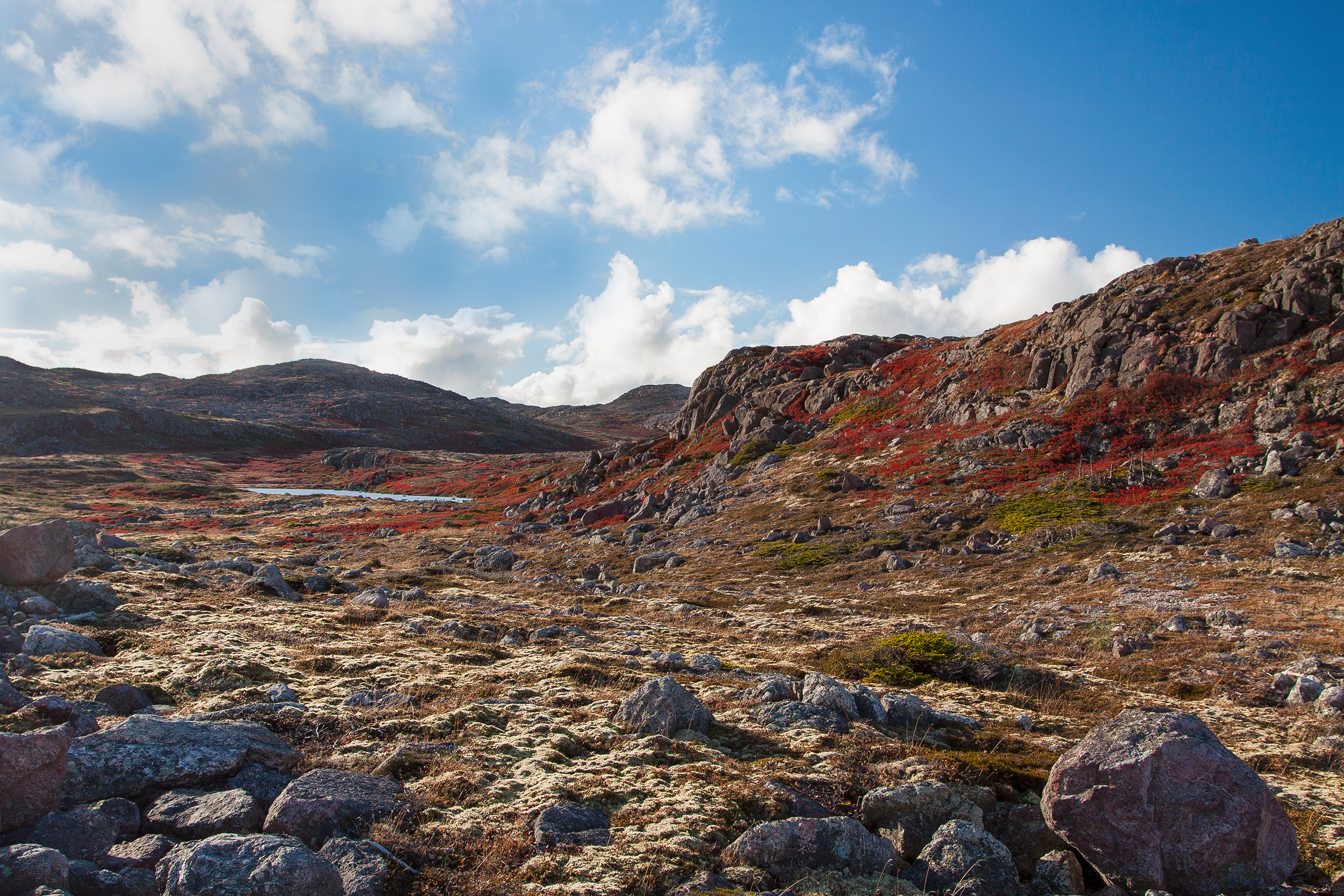 Les collines de Saint-Pierre-et-Miquelon