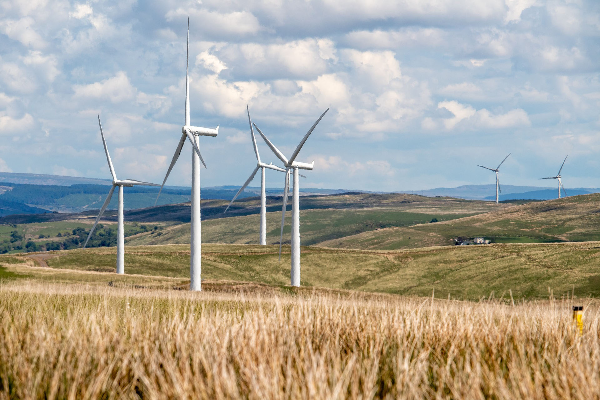 L'Énergie éolienne : le vent au service de la Planète