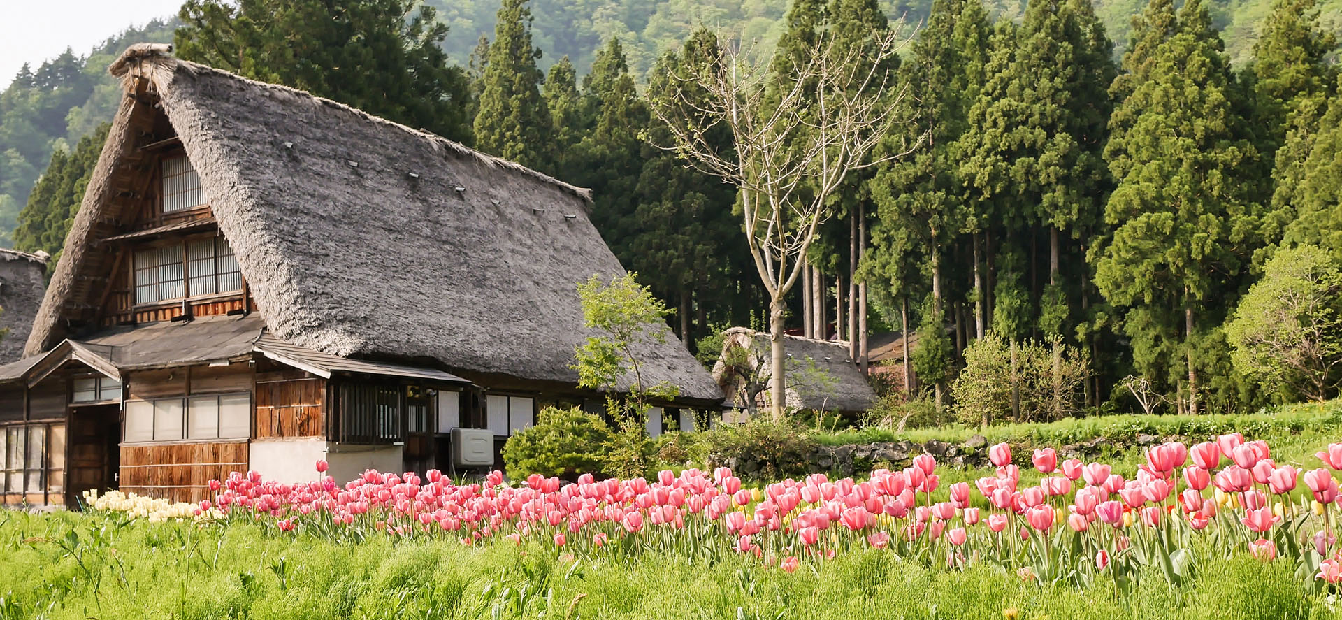 Japon : Les « minka », un aperçu fascinant de l'habitat rural traditionnel