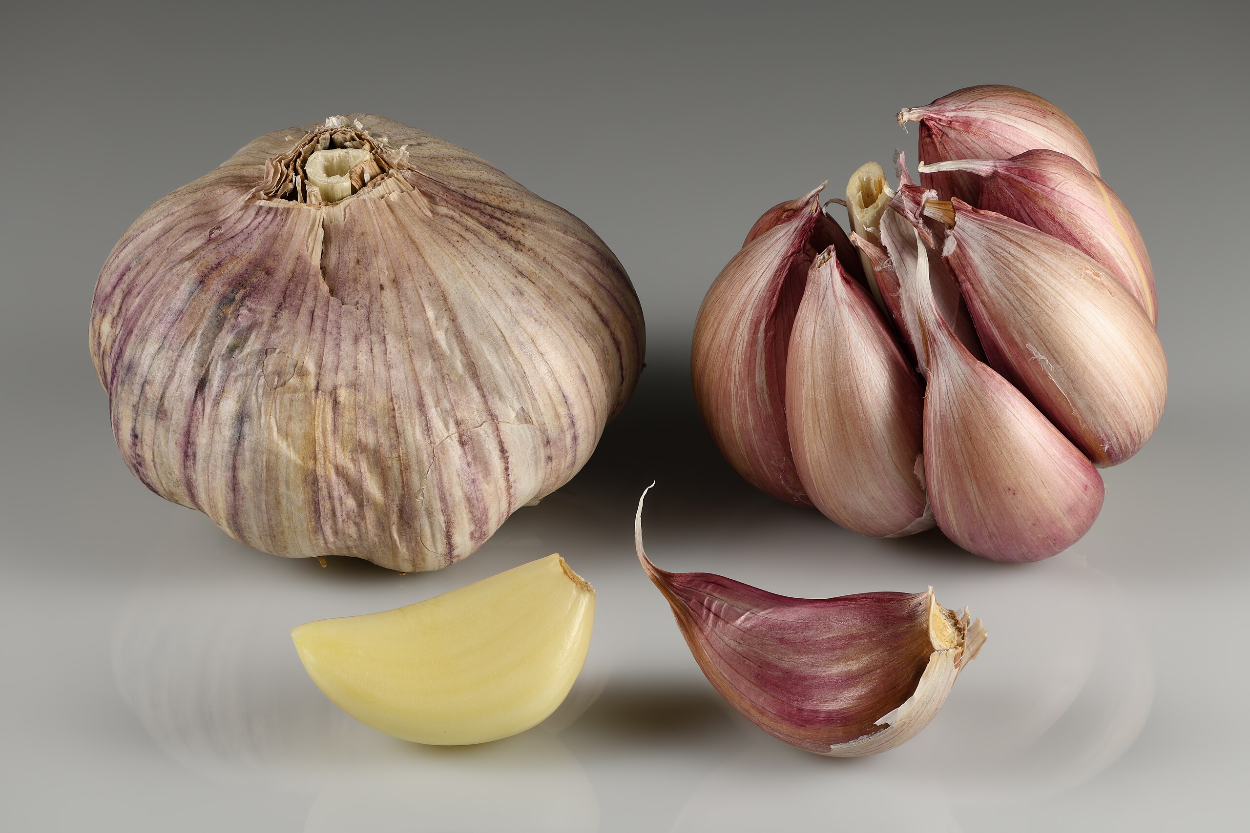  L’Ail – Le remède millénaire au cœur de nos cuisinesL’ail, ou Allium sativum, est l’une des plus anciennes plantes cultivées par l’Homme. Originaire d’Asie centrale, il est utilisé depuis plus de 5 000 ans. Les Égyptiens de l’Antiquité l’admiraient pour ses vertus médicinales et en nourrissaient même leurs ouvriers pendant la construction des pyramides, croyant qu’il leur donnait force et endurance. On retrouve sa trace dans les textes médicaux grecs, romains, indiens et chinois. Dès le Moyen Âge, l’ail est aussi utilisé comme remède contre la peste, et il devient un incontournable dans les cuisines d’Europe, du Moyen-Orient et d’Asie.Bienfaits pour la santéL’ail est célèbre pour ses puissantes propriétés médicinales, confirmées par la science moderne. Il contient un composé soufré actif, l’allicine, qui se forme lorsque la gousse est coupée ou écrasée. Ce composé est à l’origine de ses effets : antibactérien, antifongique et antiviral naturel - Stimule le système immunitaire - Réduit la tension artérielle et le cholestérol - Prévient certains cancers grâce à ses antioxydants - Protège le cœur et les vaisseaux sanguins.© Ivar Leidus, Wikimedia Commons, CC 4.0
