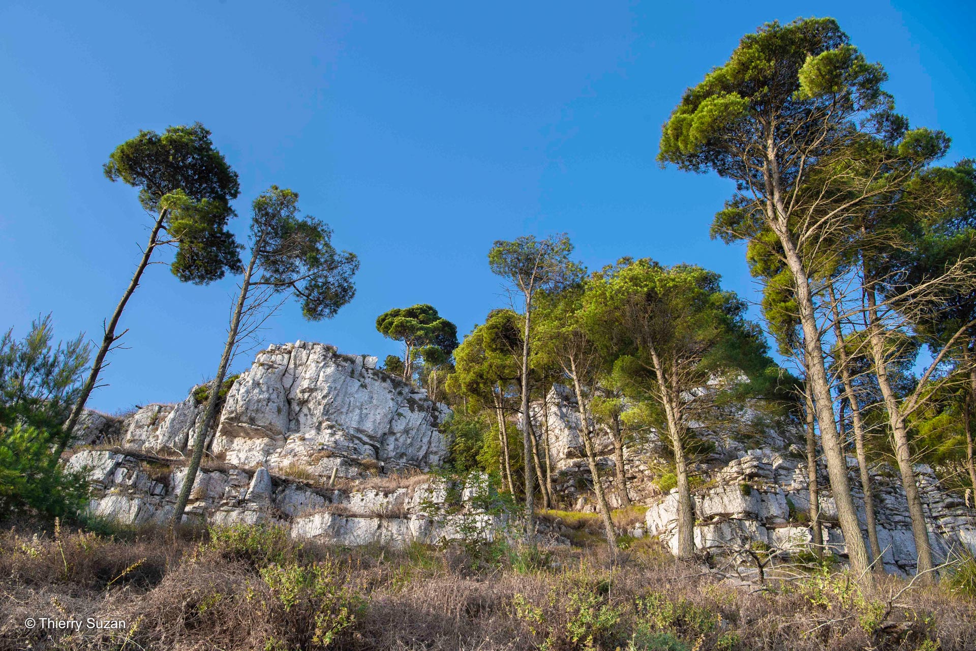 Un jardin de contrastes | Caltavuturo Les routes qui serpentent l’île traversent de nombreux villages de pierre blanche aux traditions immuables. © Thierry Suzan – Tous droits réservés