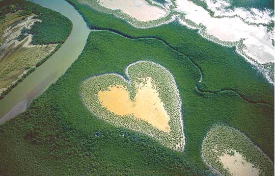 Nouvelle Calédonie : Coeur de Voh en 1990