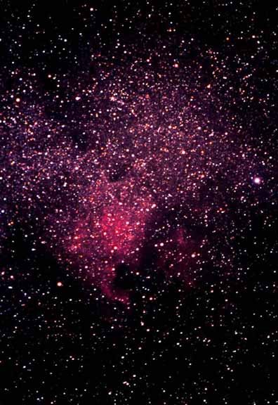 NGC 7000 Nébuleuse America