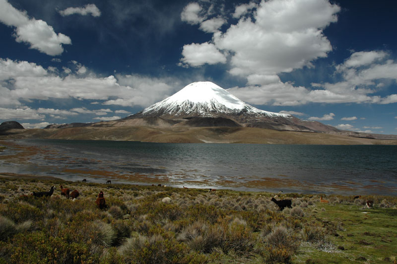 Volcan Parinacota Chili