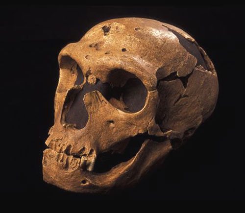 Néandertalien de la Chapelle-aux-Saints, en Corrèze