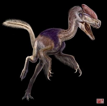 Guanlong wucaii, le plus ancien tyrannosaure