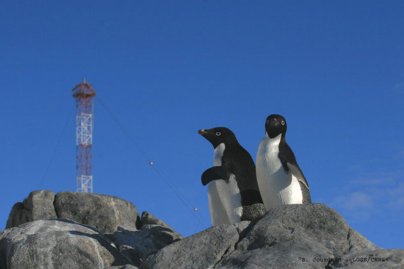 Station antarctique côtière de Dumont d’Urville