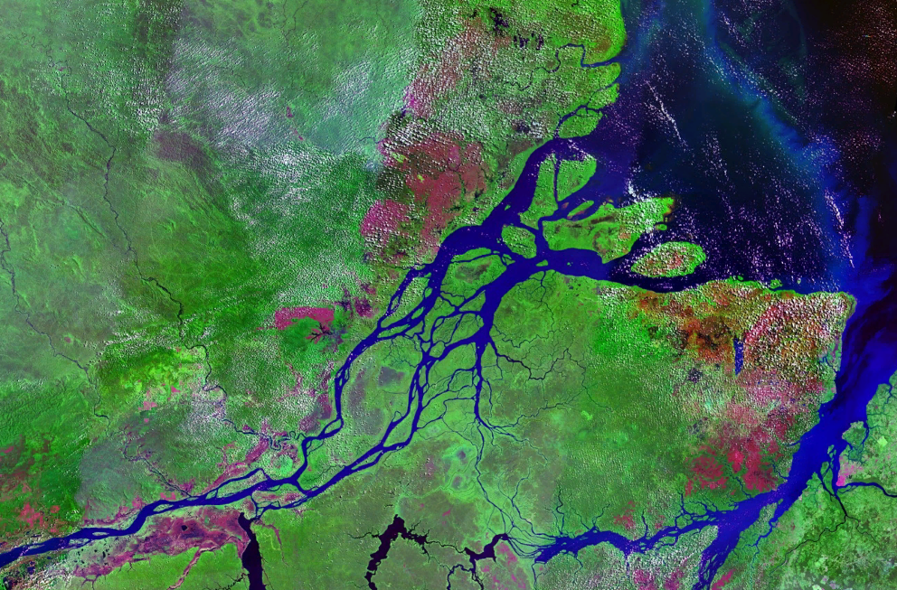 La géométrie fractale et les fleuves : l'Amazone