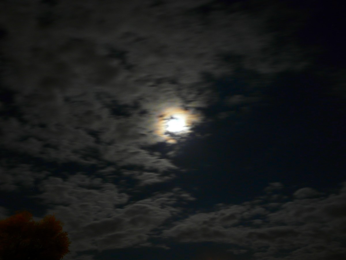 Photo d'un halo lunaire