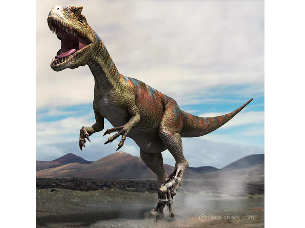 L'allosaure, ou Allosaurus, un effrayant prédateur