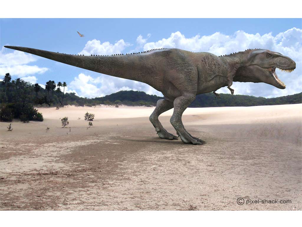 Le giganotosaure, ou Giganotosaurus, l'un des plus grands carnivores terrestres