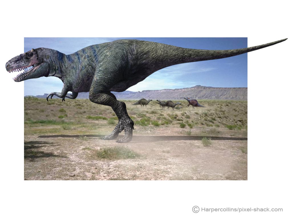 Le tarbosaure, ou Tarbosaurus, au sommet de la chaîne alimentaire