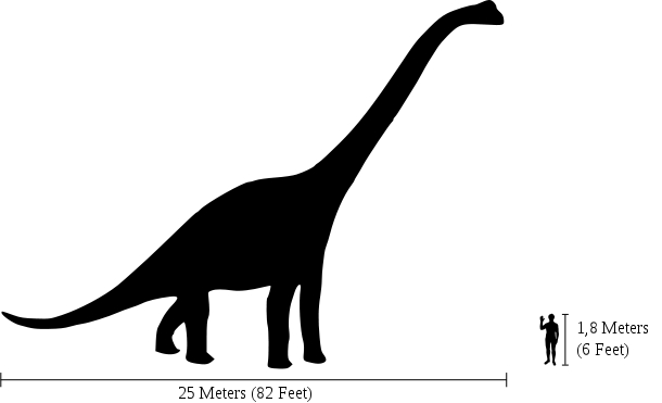 Les dinosaures étaient plus grands que prévu