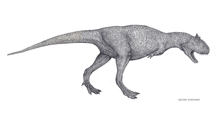 Carnotaurus ébauche dessin