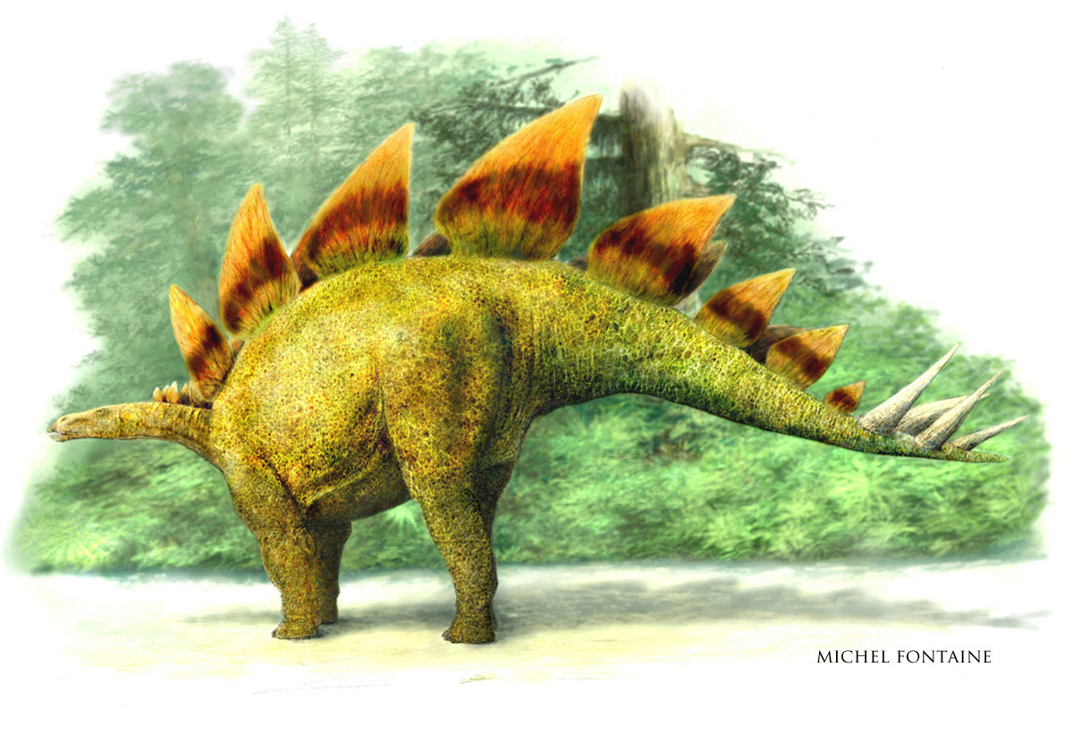 Stégosaurus