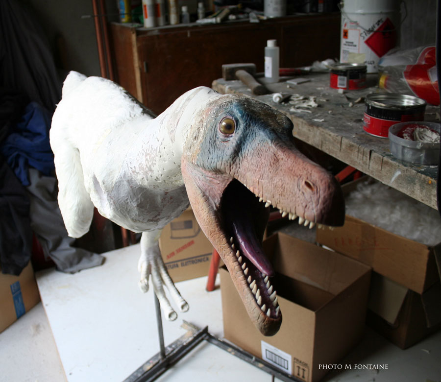 Variraptor  en construction avec la tête