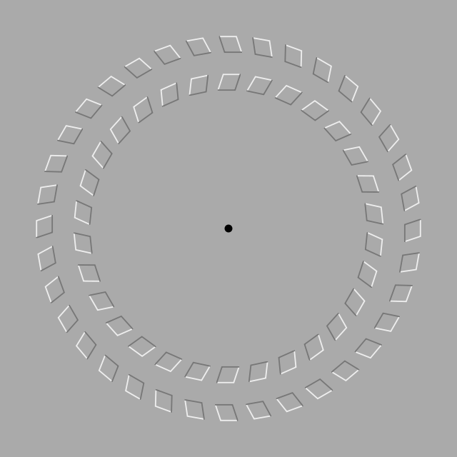 Les cercles rotatifs, une illusion de rotation