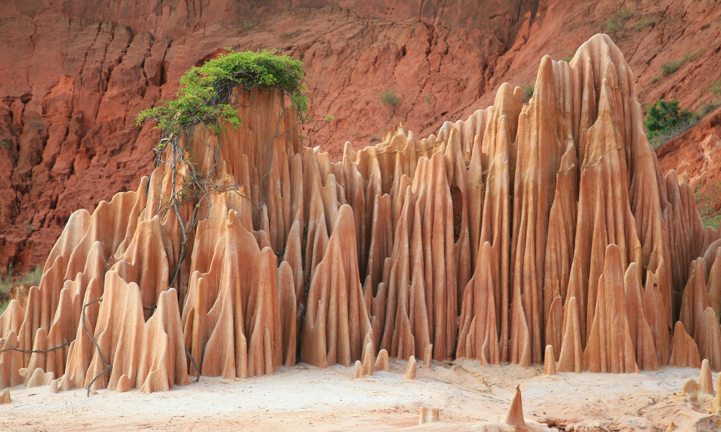 Les Tsingy rouges de Madagascar, près d’Antsiranana
