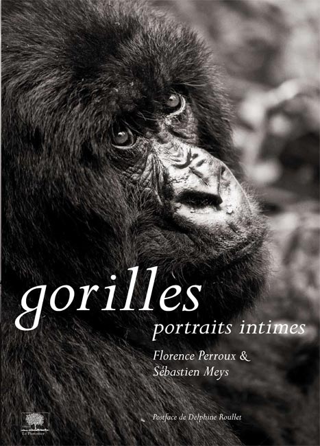 « Gorilles, portraits intimes »